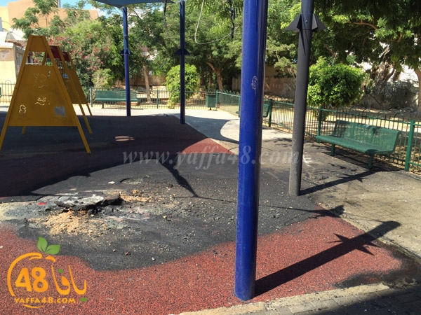 firealn jaami (8).jpg